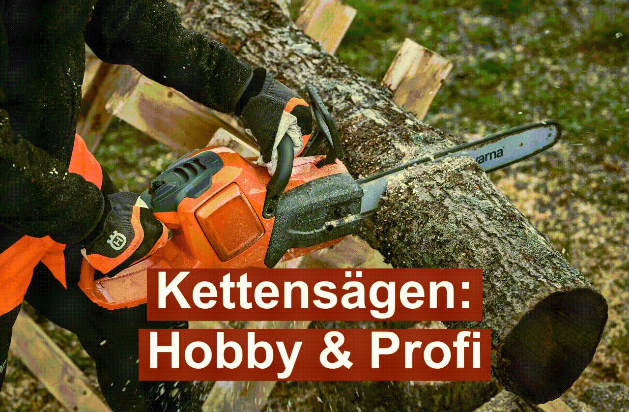 Kettensäge Motorsäge kaufen Olganitz Oschatz Sachsen